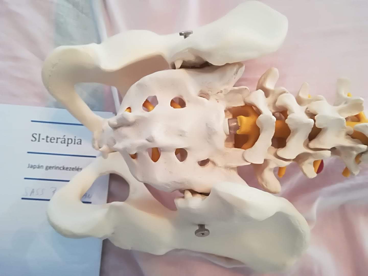 fokú talonavicularis ízületek osteoarthritis